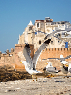Essaouira