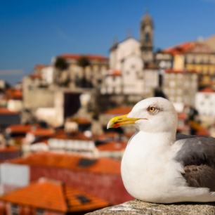 Lisbon
