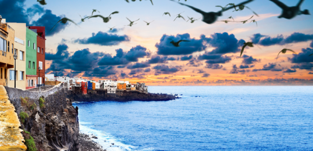 LES ILES CANARIES